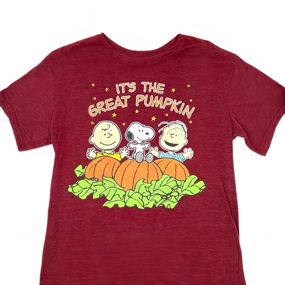 Peanuts Tops - Charlie Brown Peanuts Its The Great Pumpkin Halloween Fall Pop Culture T Shirt M